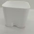 White Self Watering Pot